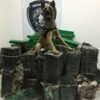 APÓS 7 ANOS DE SERVIÇO, CÃO FAREJADOR K9 VINY SE “APOSENTA” DA POLÍCIA CIVIL DO MARANHÃO