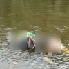 Garimpeiro e adolescente são mortos e família acusa militares do Exército