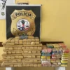 Polícia Civil apreende de 208 kg de maconha dentro de carreta bitrem na BR 316, nas proximidades de Caxias MA