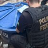 PF realiza prisão de suspeito por tráfico e lavagem de dinheiro