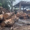 PRESO, EM AMAPÁ DO MARANHÃO, SUSPEITO DE SER MANDANTE DOS ASSASSINATOS DE DOIS GUARDAS PATRIMONIAIS NO INTERIOR DO ESTADO