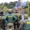 Funcionários do Ibama suspendem fiscalizações ambientais em todo o País