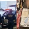 Polícia Federal cumpre mandados contra grupo criminoso que emitia diplomas falsos no MA, PI e TO