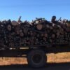  POLÍCIA CIVIL APREENDE CAMINHÃO CARREGADO COM MADEIRA NATIVA DO PARQUE ESTADUAL DO MIRADOR
