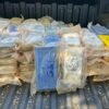 POLÍCIA CIVIL PRENDE HOMEM POR TRÁFICO DE DROGAS E APREENDE 102 TABLETES DE ENTORPECENTES NA CIDADE DE PORTO FRANCO