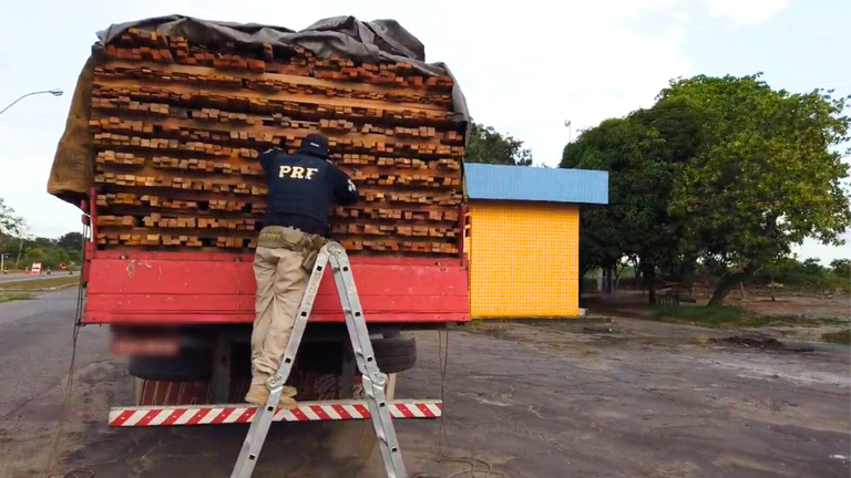PRF apreende 78 m³ de madeira ilegal no Maranhão