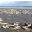Milhares de sardinhas mortas em praias de São Luís
