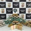 POLÍCIA CIVIL APREENDE 160 KG DE DROGAS E PRENDE TRÊS HOMENS POR TRÁFICO E ASSOCIAÇÃO PARA O TRÁFICO DE DROGAS, EM ITAPECURU-MIRIM
