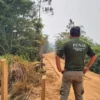 STF estende prazos para que União regulamente poder de polícia da Funai