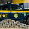 PRF apreende mais 60kg de maconha na BR-010 no Maranhão