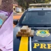 Motorista de ônibus é preso transportando cocaína e maconha de São Paulo ao Maranhão