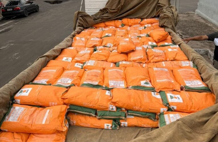 Sementes de milho falsificadas são apreendidas em Caxias MA