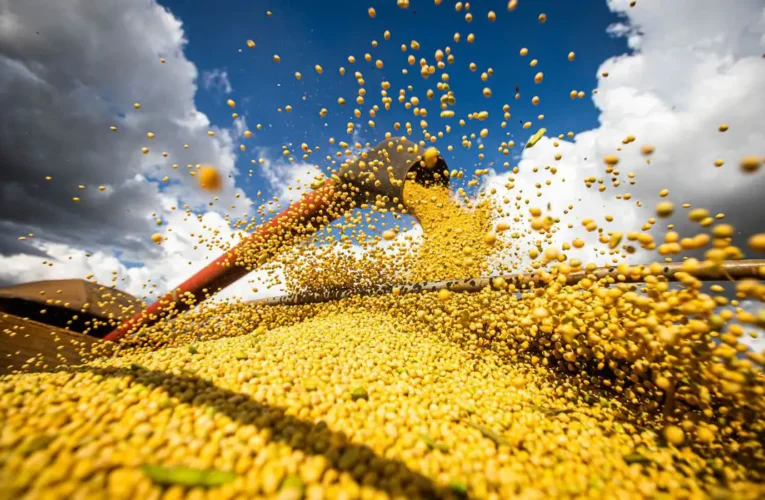 Safra recorde e queda do dólar devem reduzir o preço dos alimentos