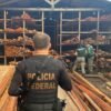 PF realiza operação contra receptação de madeira e fraudes ambientais