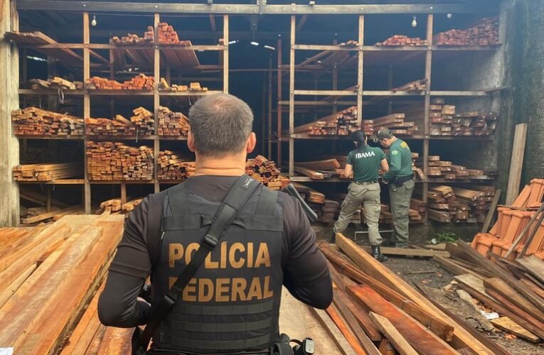 PF realiza operação contra receptação de madeira e fraudes ambientais