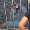 SUSPEITO DE APLICAR “GOLPE DA FALSA AJUDA” EM IDOSOS É PRESO PELA POLÍCIA CIVIL EM PRESIDENTE DUTRA