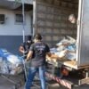 Segurança Pública do Maranhão incinera 1 tonelada de entorpecentes, avaliada em R$ 25 milhões