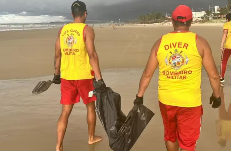 Cabeça e corpo são encontrados separados em praia de São Luís