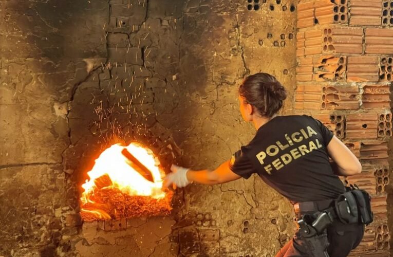 PF incinera cerca de uma tonelada de drogas no Maranhão