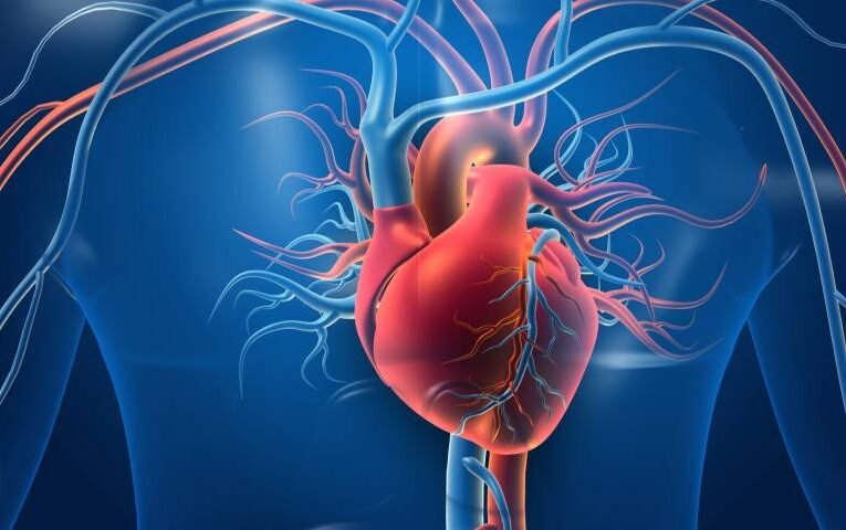 Pesquisa indica consciência de brasileiros com saúde do coração