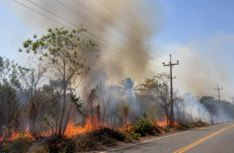 Equatorial Maranhão e o Movimento VC+ Seguro alertam: queimadas colocam vidas em risco e provocaram 233 ocorrências na rede elétrica no estado em 2026