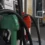 Gasolina tem tributos zerados e subsídios a combustíveis são ampliados